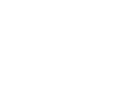 Cisco Partner